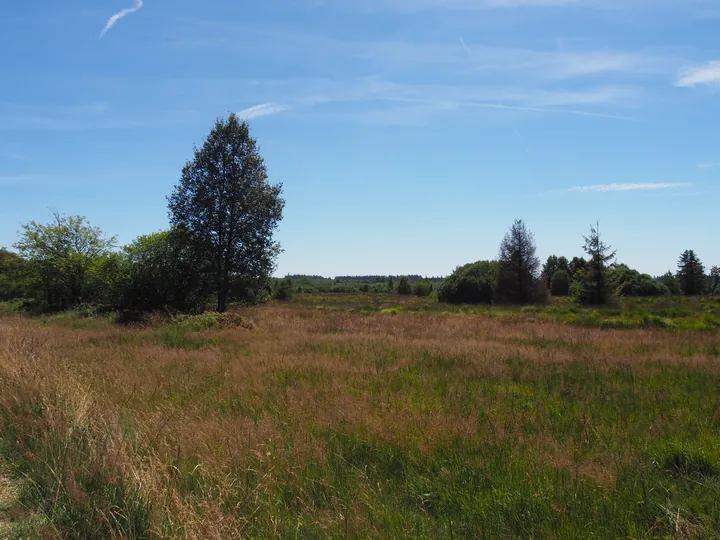 Signal de Botrange (België)